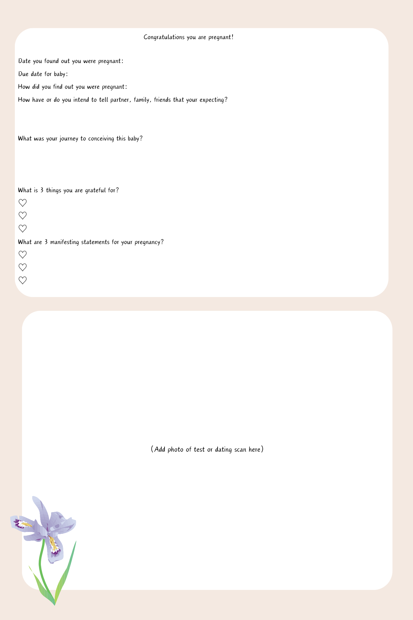 Journey to Motherhood Journal